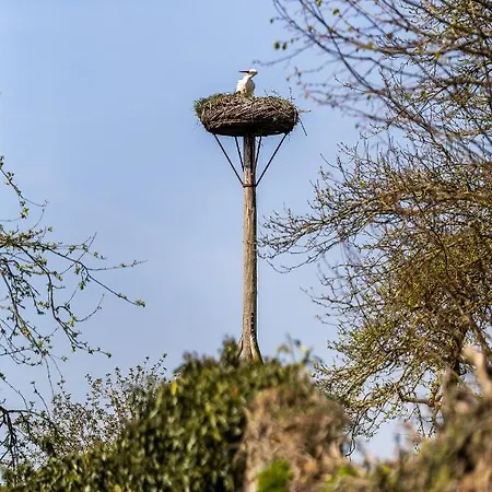 La Prázdninový dům Damme